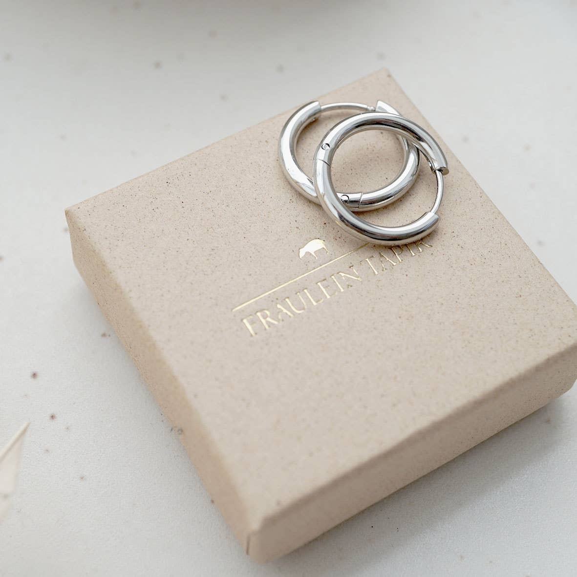 Kõrvarõngad LEA hõbedatooni